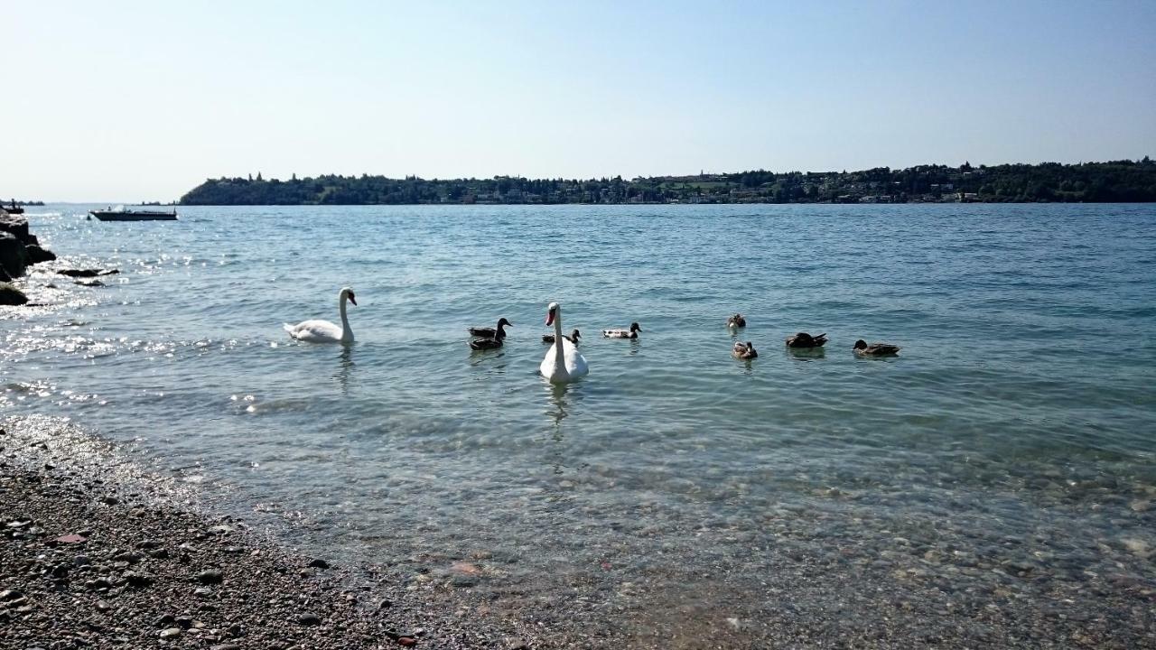 Brezza Di Lago Salò Dış mekan fotoğraf